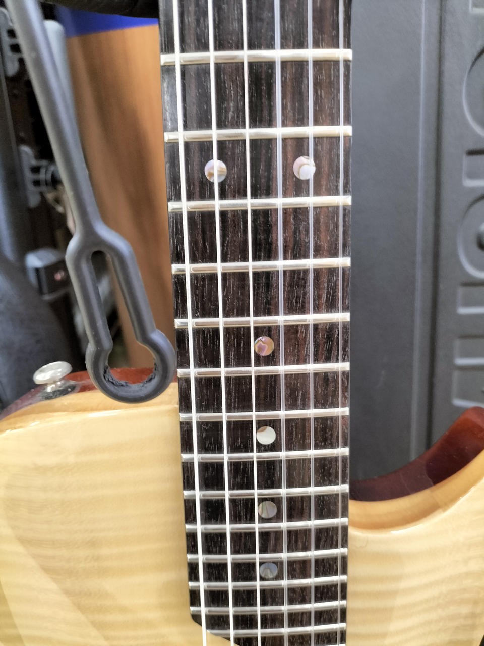 LANDSCAPE SE-01N Electric Guitar