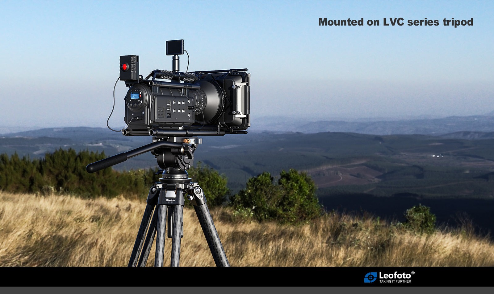 Leofoto BV-10 (Knob Clamp) Fluid Video Head - Arca Standard