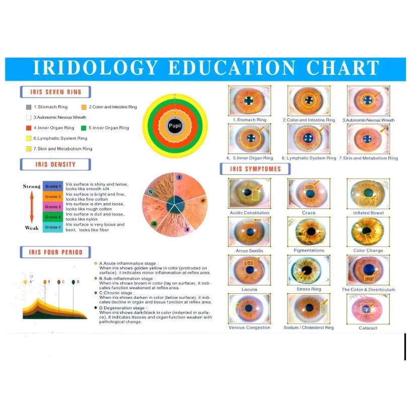 Professional Iridology Digital Camera Multifunction 12MP Camera Eye Iris Scanner