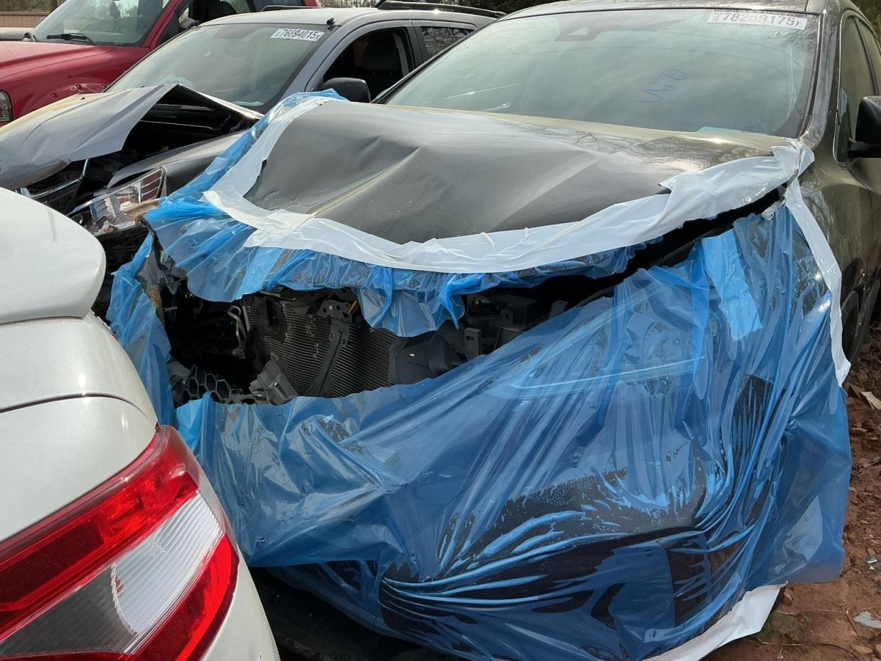 MURANO 2020 Glove Box 5010247