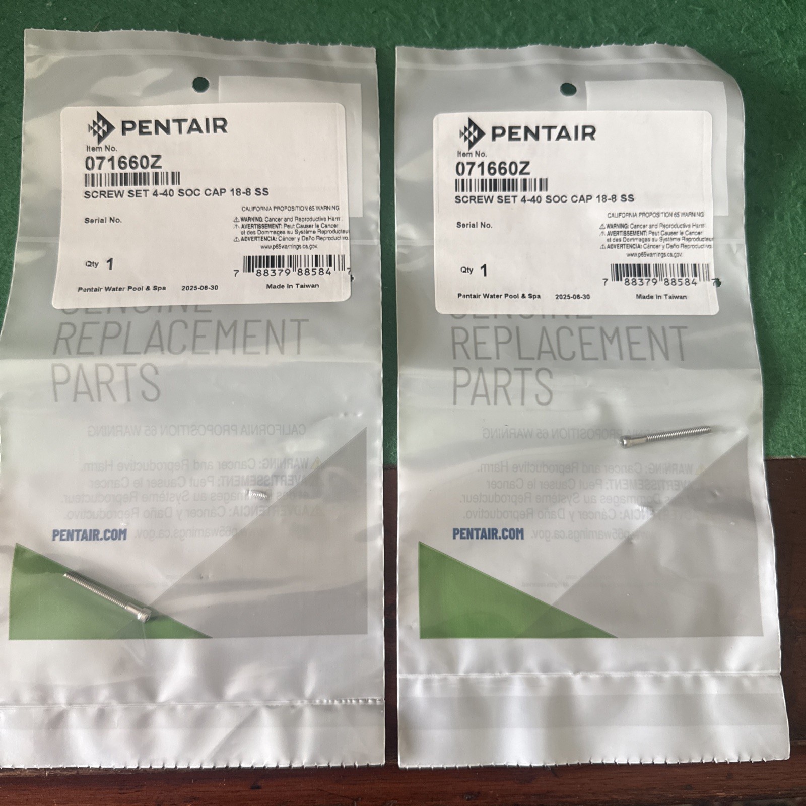 Pentair Diffuser 071660Z 18-8 Stainless Steel Socket Cap Screw for Pool Pump TWO