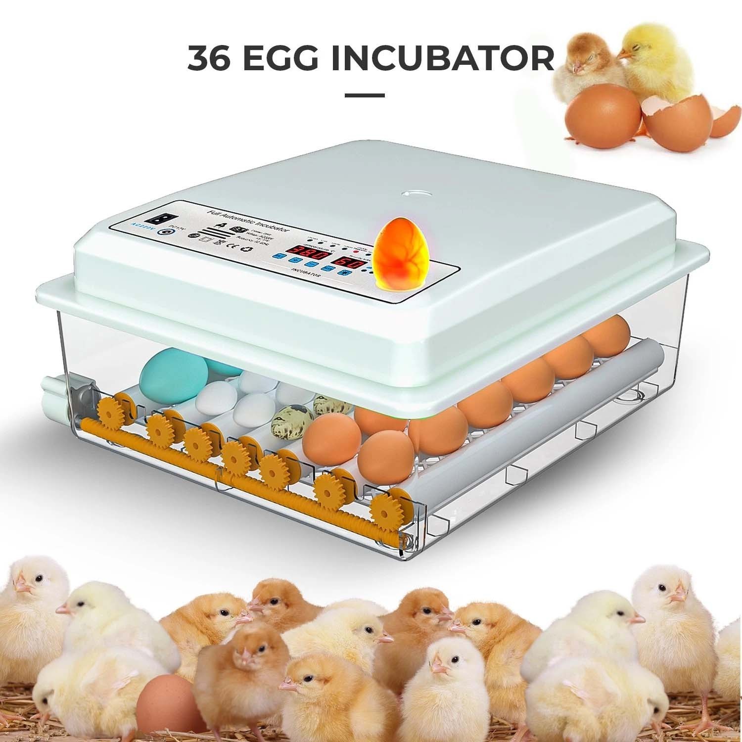 36 Egg Incubators for Hatching Eggs with Automatic Egg Turning and Egg Candler