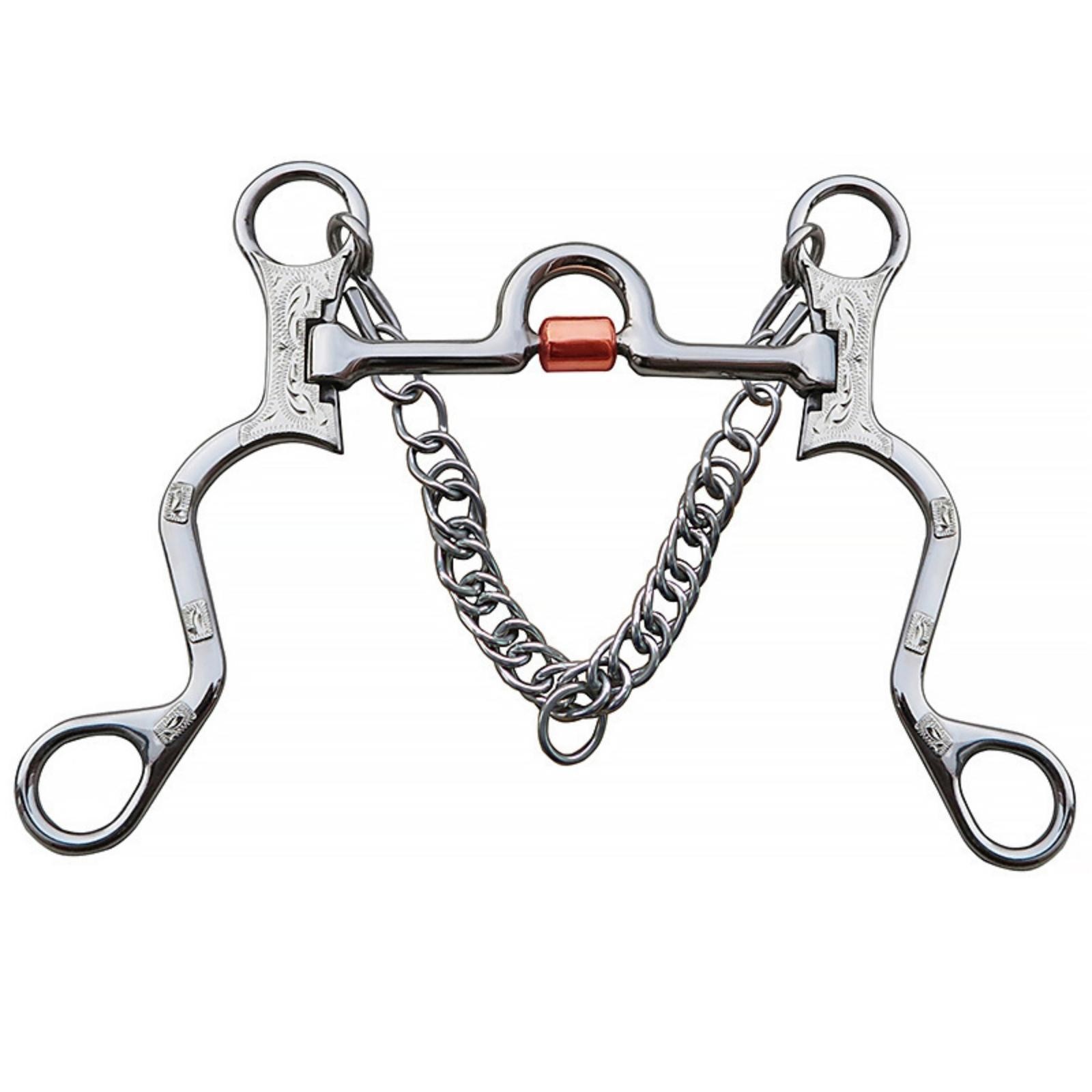 Western with Curb Chain Engraved Tack Responsive for Riders