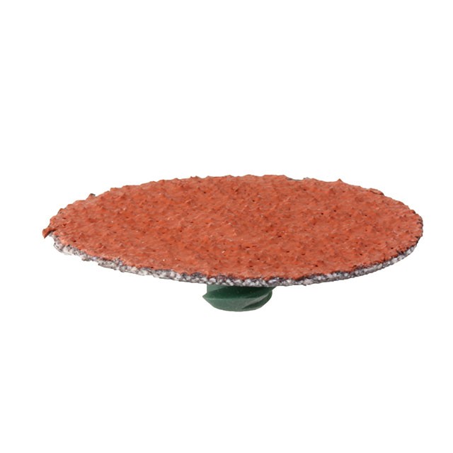Rolocâ„¢ Discs 777F - 3m 777f 1.5" 50g051144-76627 [Set of 10]