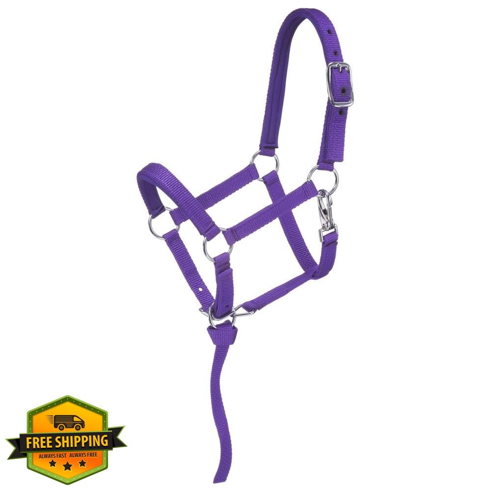 Tough 1 Nylon Padded Miniature Halter Horse Tack
