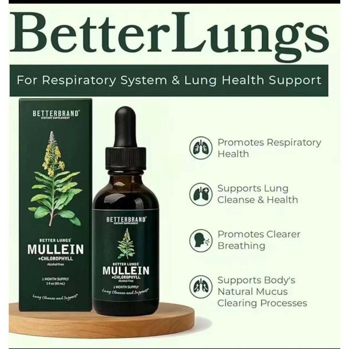 Mullein & Chlorophyll Liquid Drops – Respiratory Support & Lung Cleanse