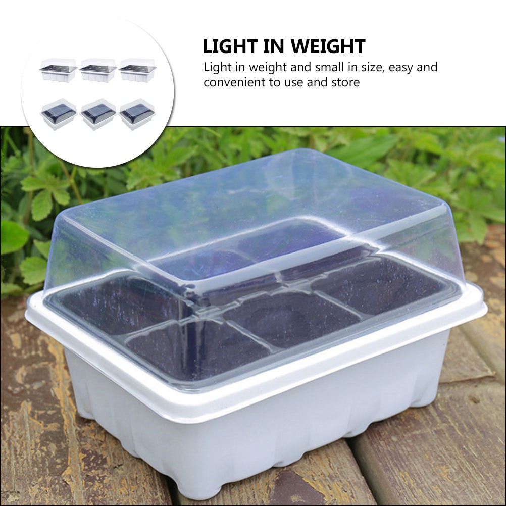 Multi Plastic Plant Starter Boxes for Home with Simple Structure Design 6 Pcs