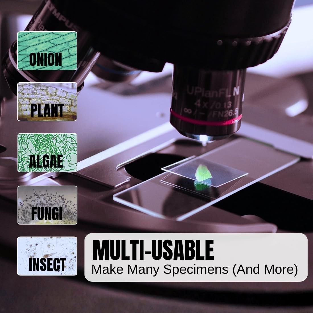 Optical Glass Microscope Slides Set: 50 Slides & 100 Covers for Classroom Use
