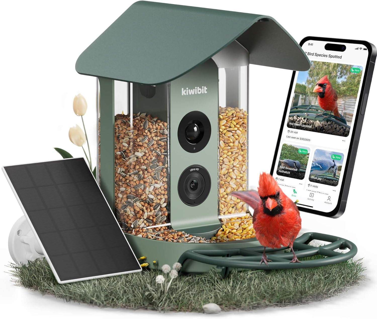Beako™ 4K Smart Bird Feeder - Solar Powered, AI ID, Live Stream, Easy Setup