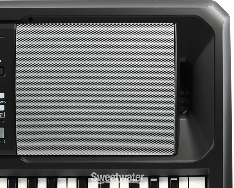 Korg EK-50 CSA Entertainer Keyboard