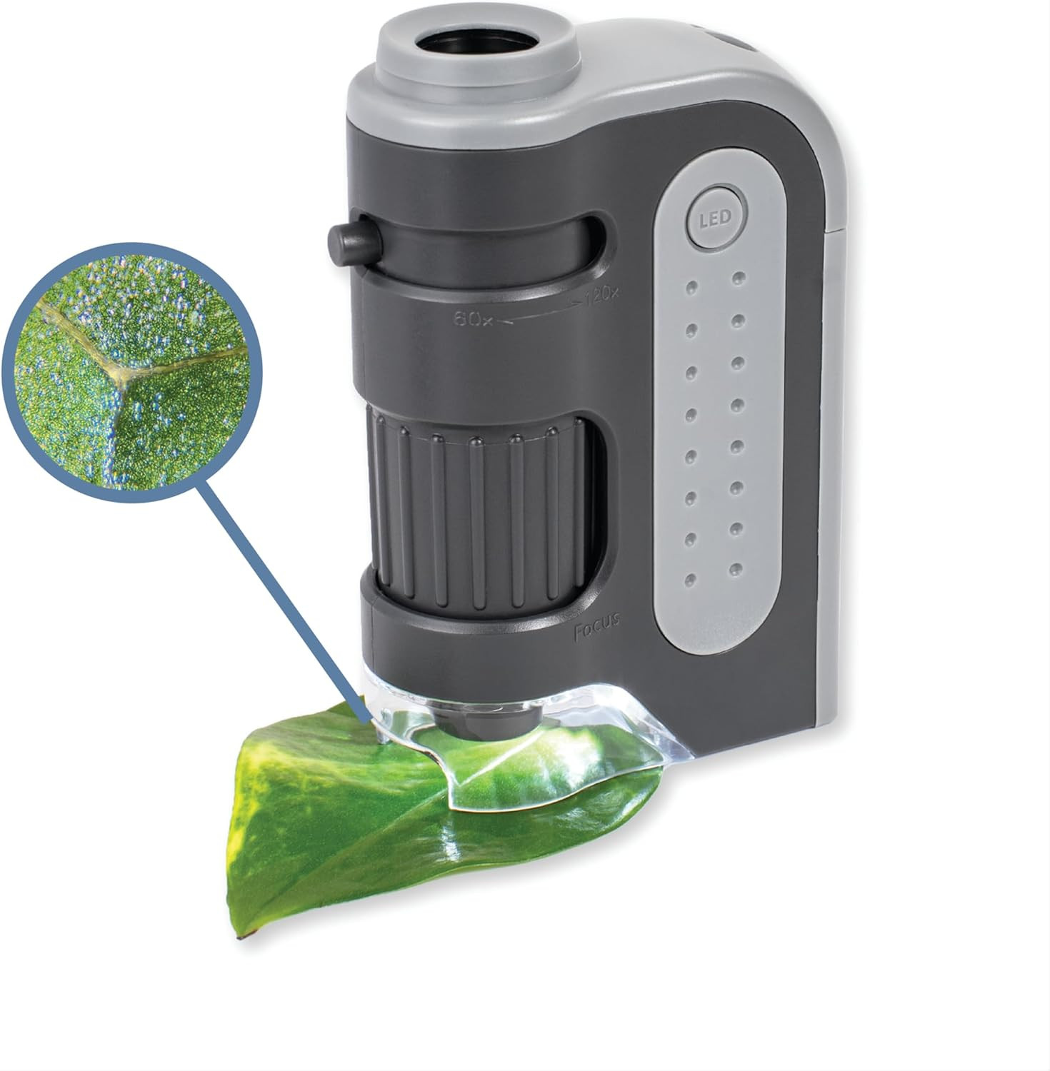 Carson Microbrite plus 60X-120X LED Lighted Pocket Microscope, Portable Handheld