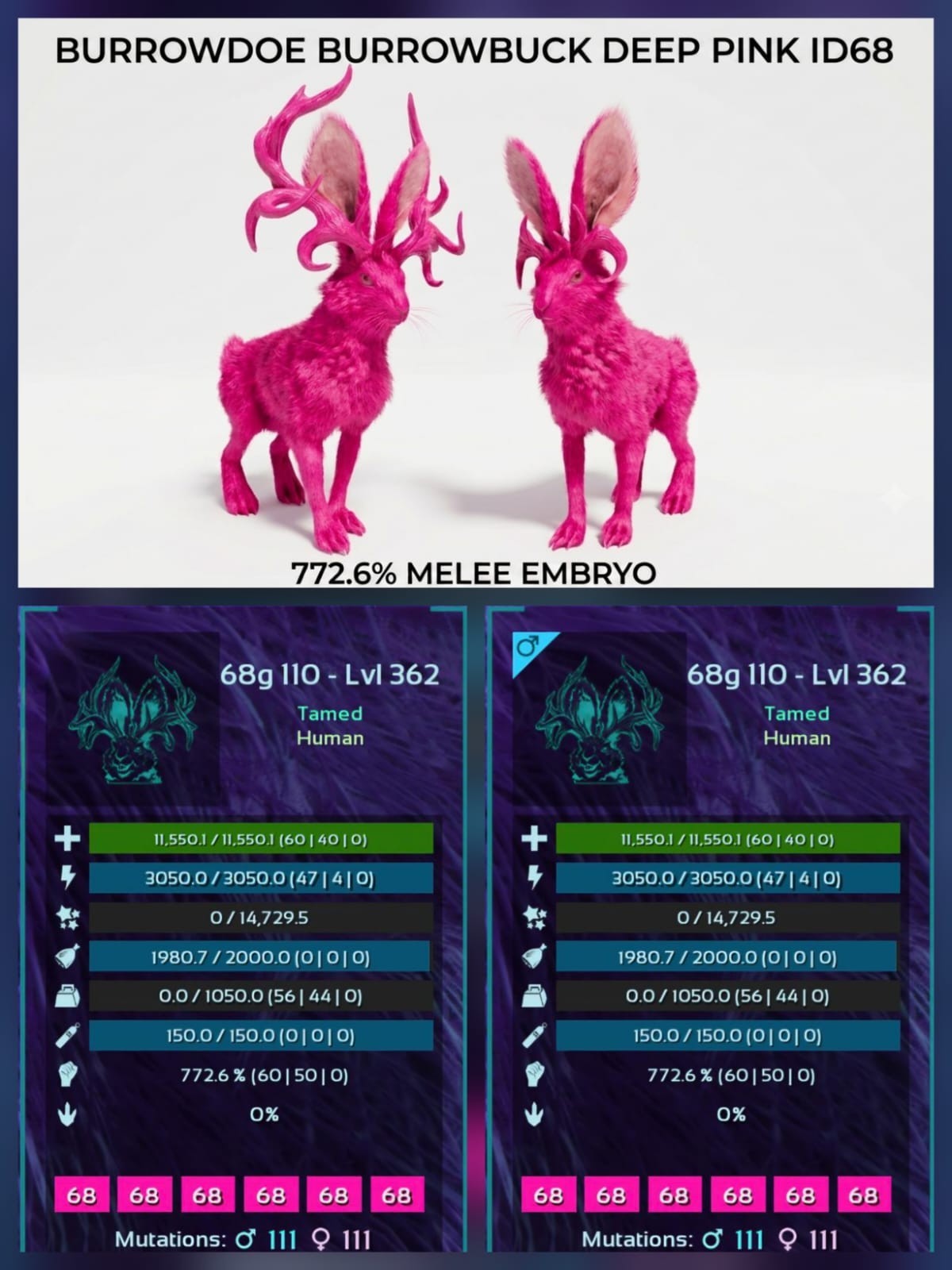 BURROWBUCK BURROWDOE - Top Stats - Embryo - Ark Ascended PVE Official Crossplay