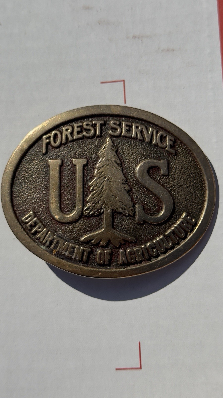 Vintage -1985- US Forest Service Belt Buckle USFS Dept Of Agriculture