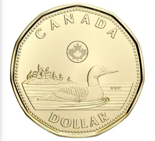 2022 Canada First Strike Unc. Loonie Direct from Roll also 2021 colored Dime