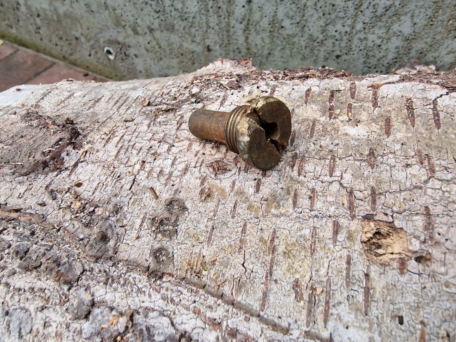 WW2 Accessories from the German bunker rare relic.