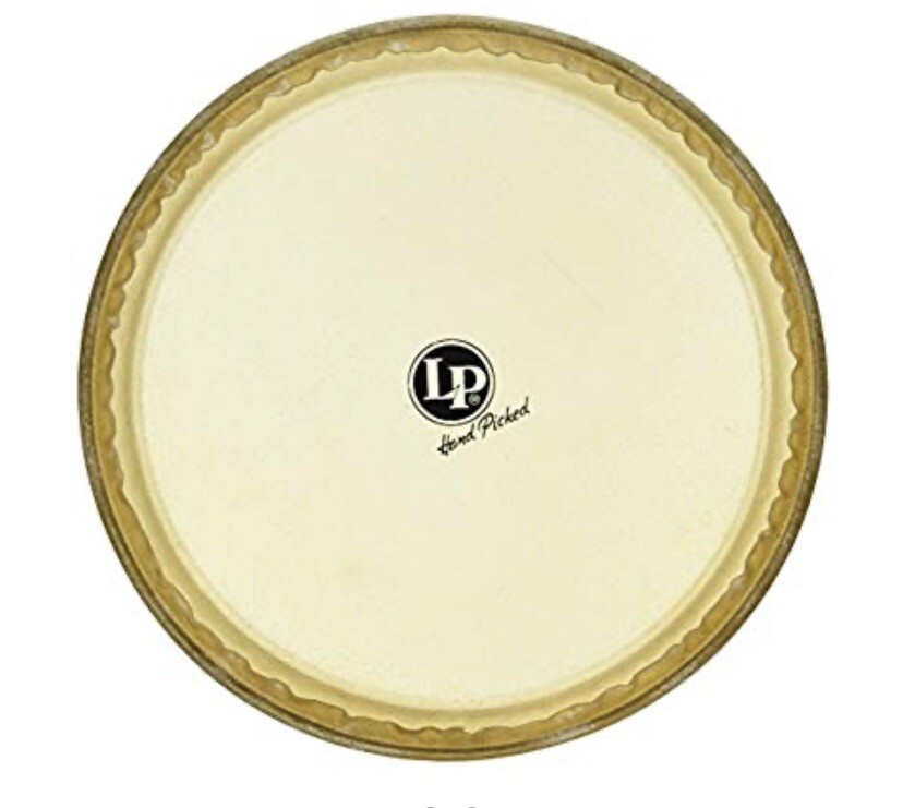 Latin Percussion LP265A 11-Inch Rawhide Quinto Head