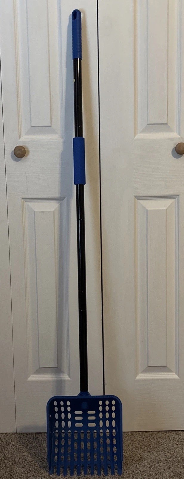 Chicken  poop 2-In-1 Chicken Poop Scooper & Rake