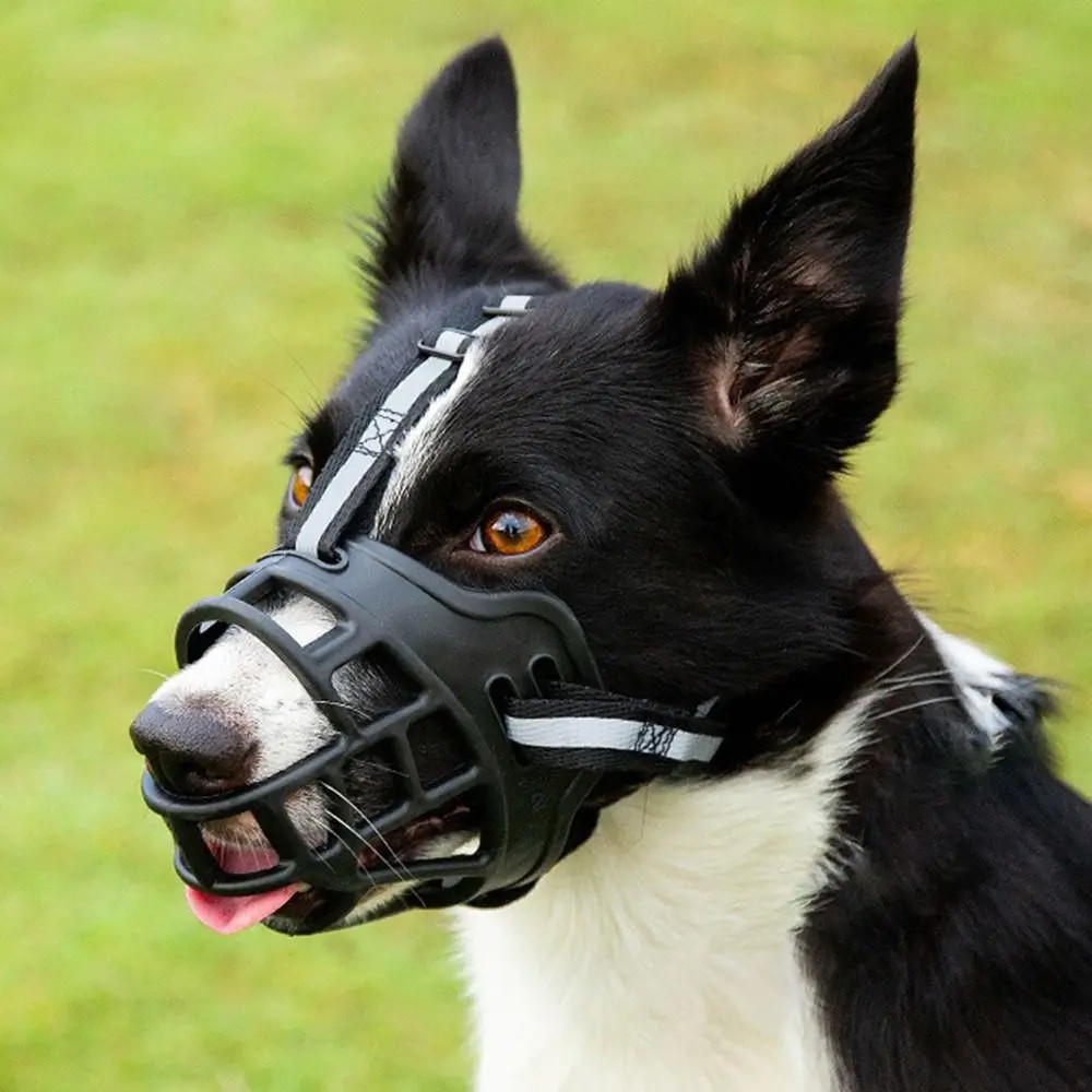 Durable Anti-biting Adjustable Dog Muzzle with Reflective Strip Can Drink Water