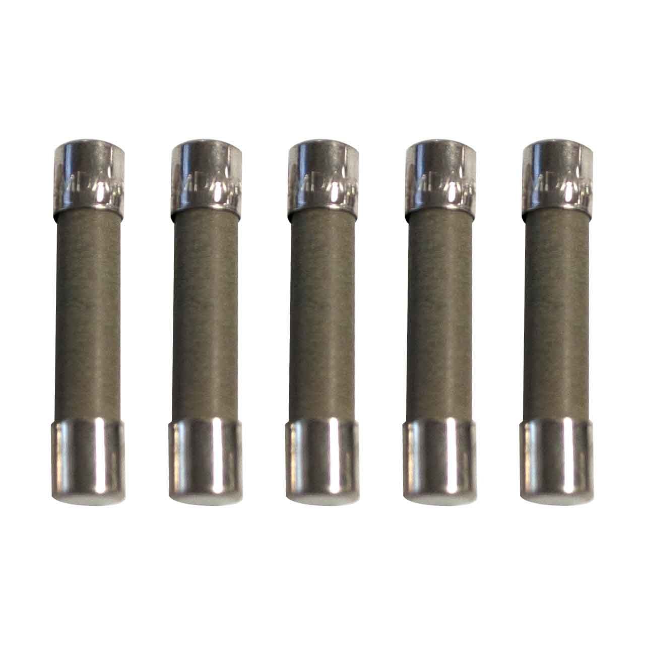 Miller 085874 Fuse Mintr Cer Slo-Blo 10. Amp 250 Volt 5 pack