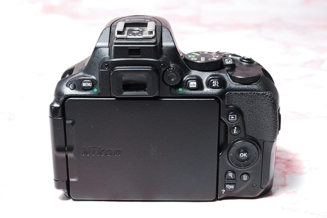 Nikon D5500 660502