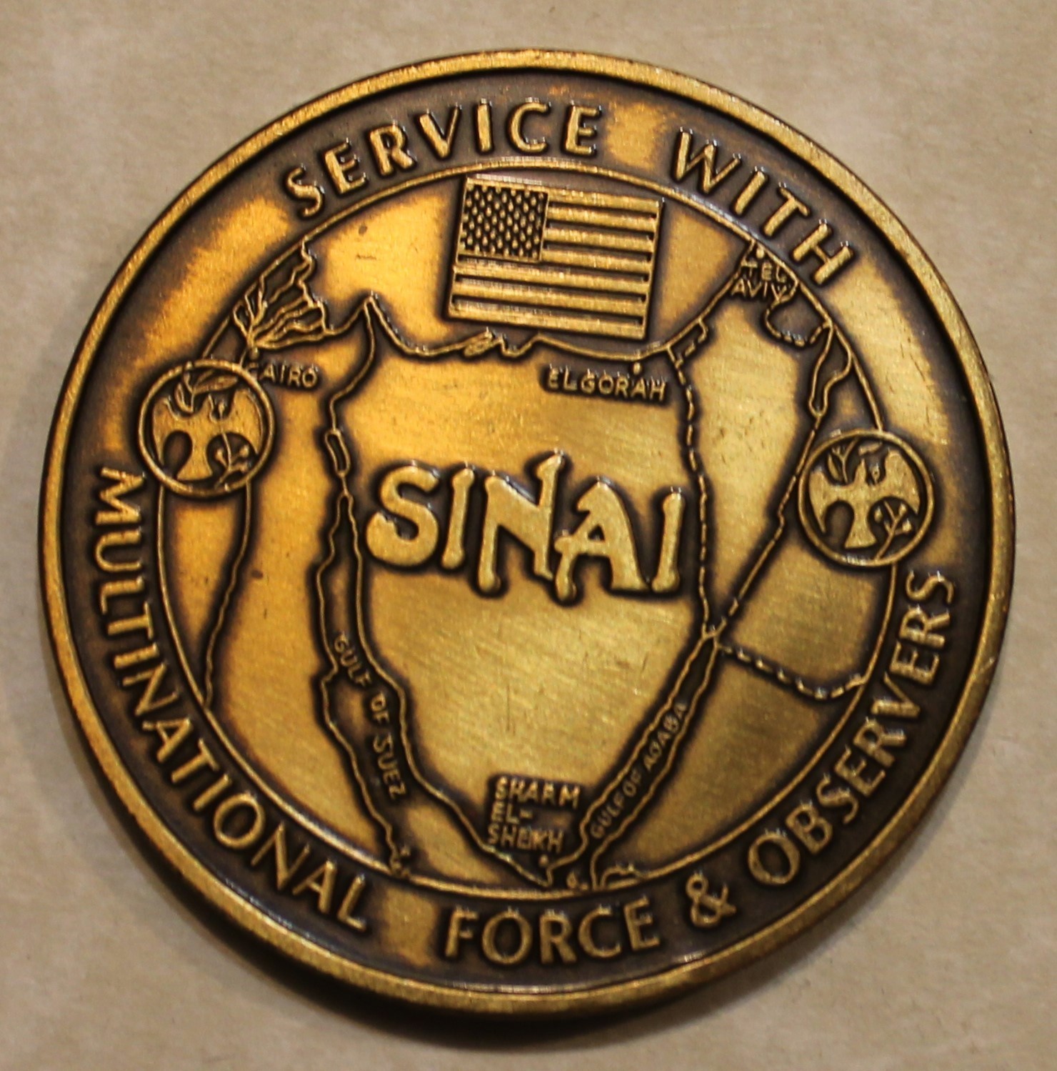 SINAI SW Asia Veteran VET Army Navy Marine Air Force Coast Guard Challenge Coin