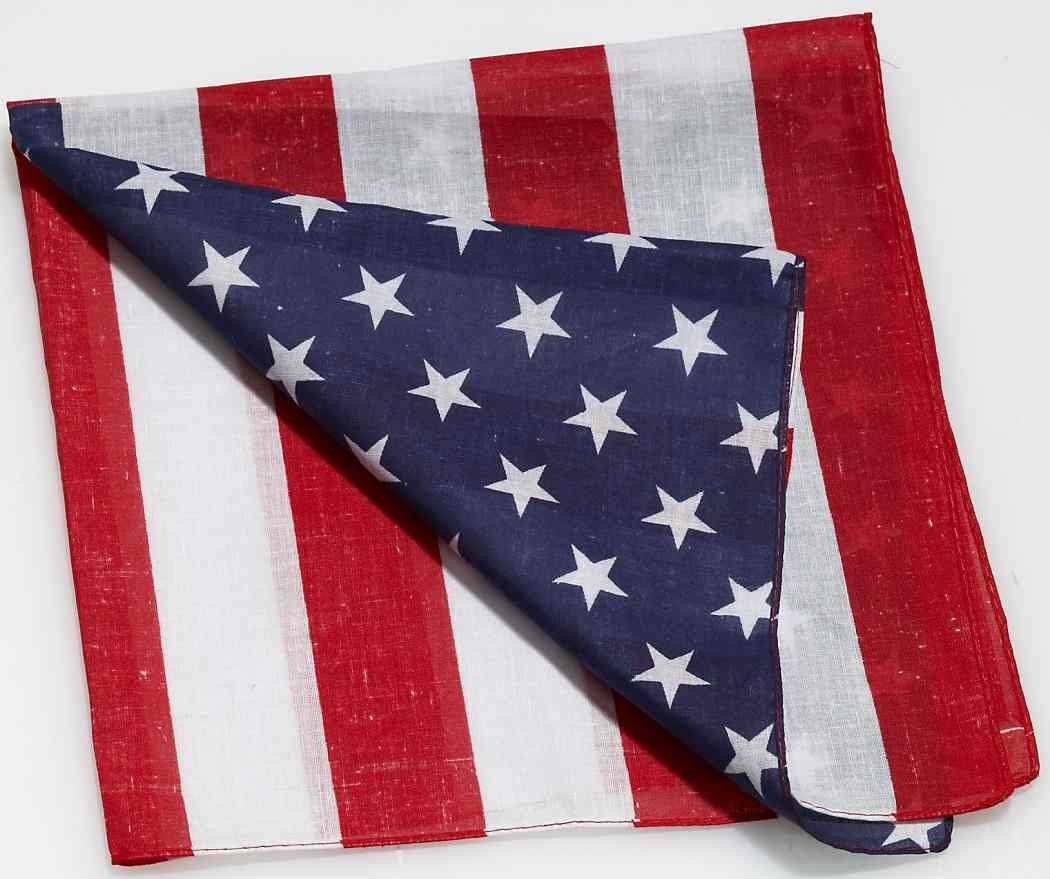 American Flag Bandana USA Patriotic Fancy Dress Up Halloween Costume Accessory
