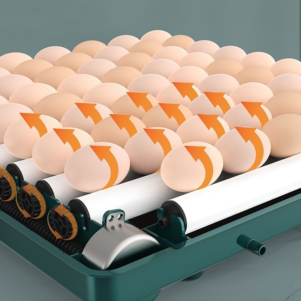 10 Eggs Fully Automatic Intelligent Double Electric Incubator Household Chicken