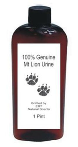 EBT Scent Company 1 Pint Genuine Mt. Lion Urine! *Peddling Pee Since 1986!*