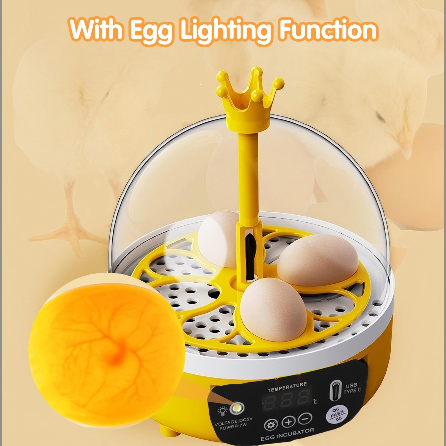 Tissting 4 Eggs Mini Incubator with Transparent Lid,7W Automatic Temperature Hum