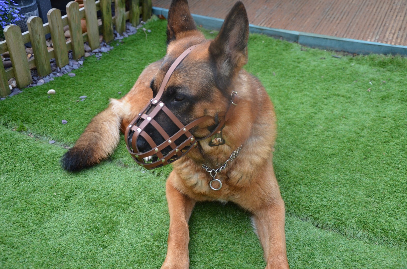 New Light leather Dog Muzzle German Shepherd and Other Similar Snout