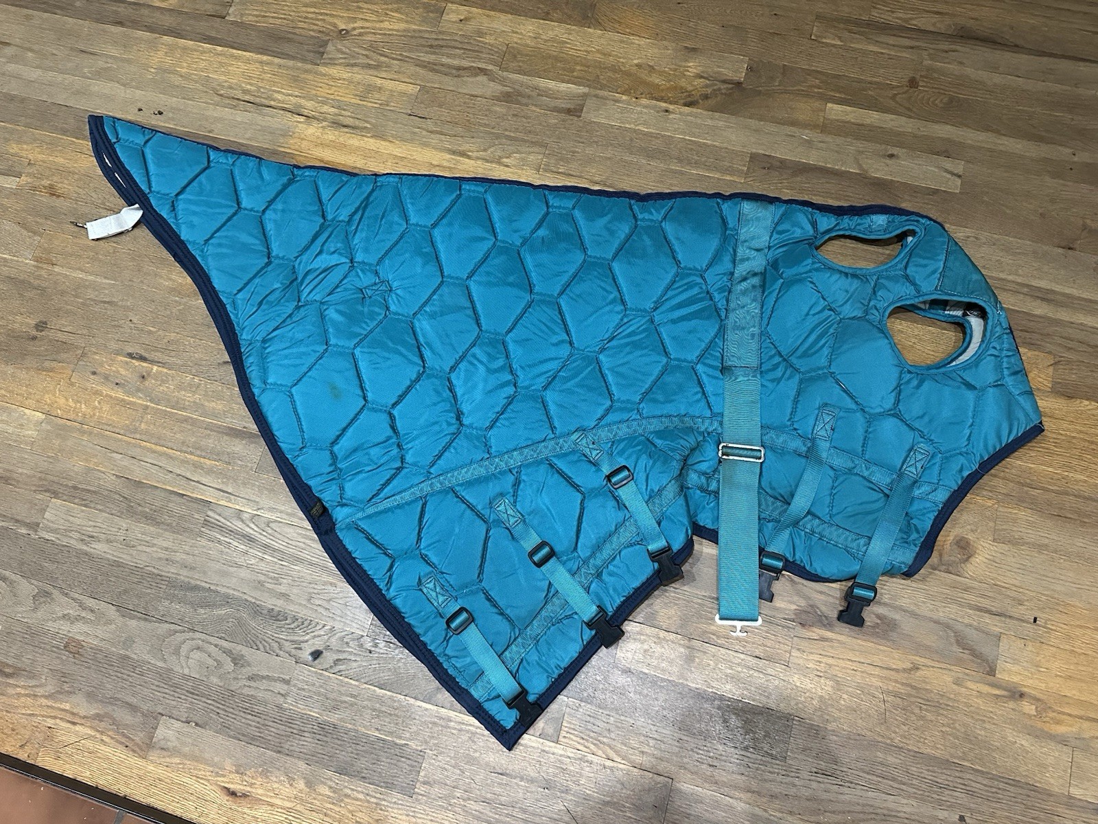 Horse Tack - Large Teal Quilted Big D Hood