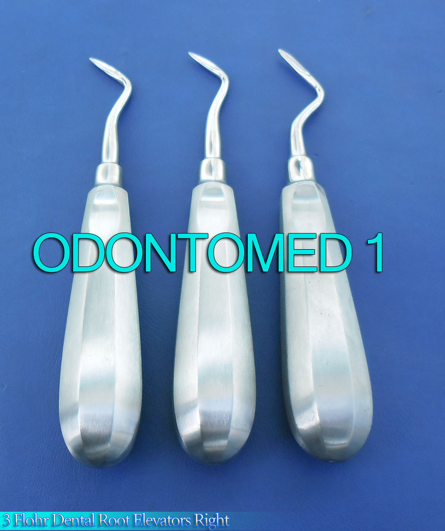 3 Flohr Dental Root Elevators Right Dental Instruments