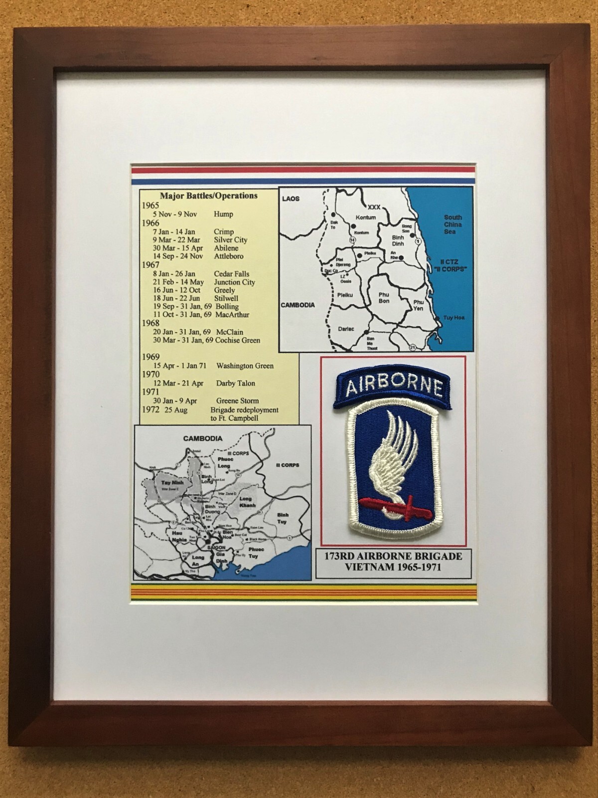 173rd Airborne Brigade Vietnam Unit Patch and History 11"x14" with white matting