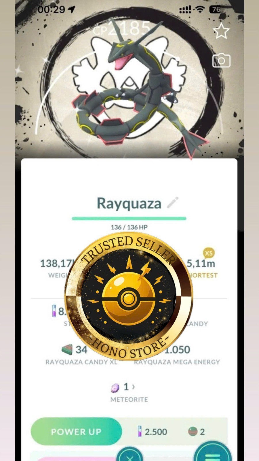 Pokémon—GO—Shiny Rayquaza—Special Background—GO Fest2026—Dragon Ascen - Mini PTC