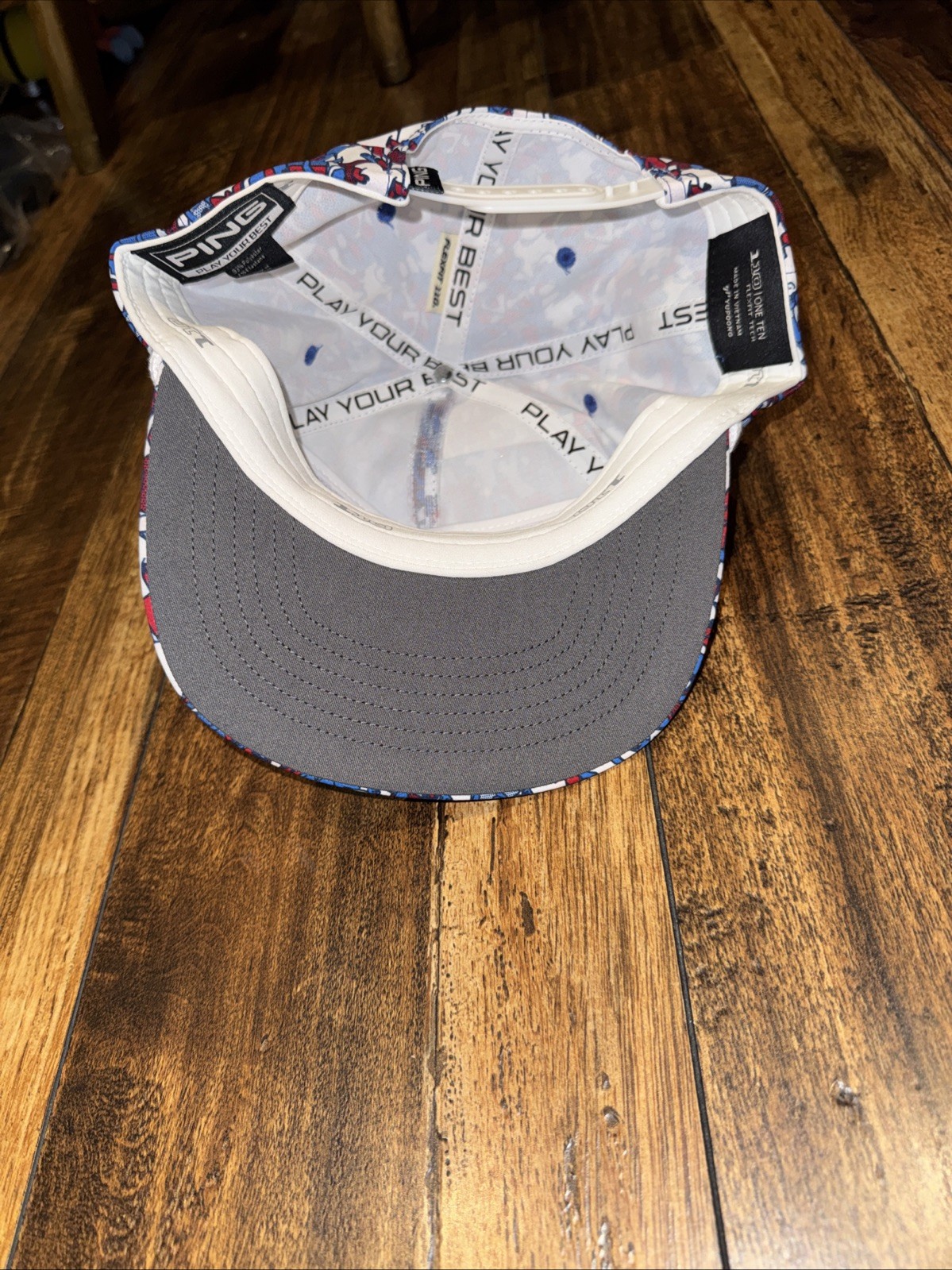PING GALLERY CAP