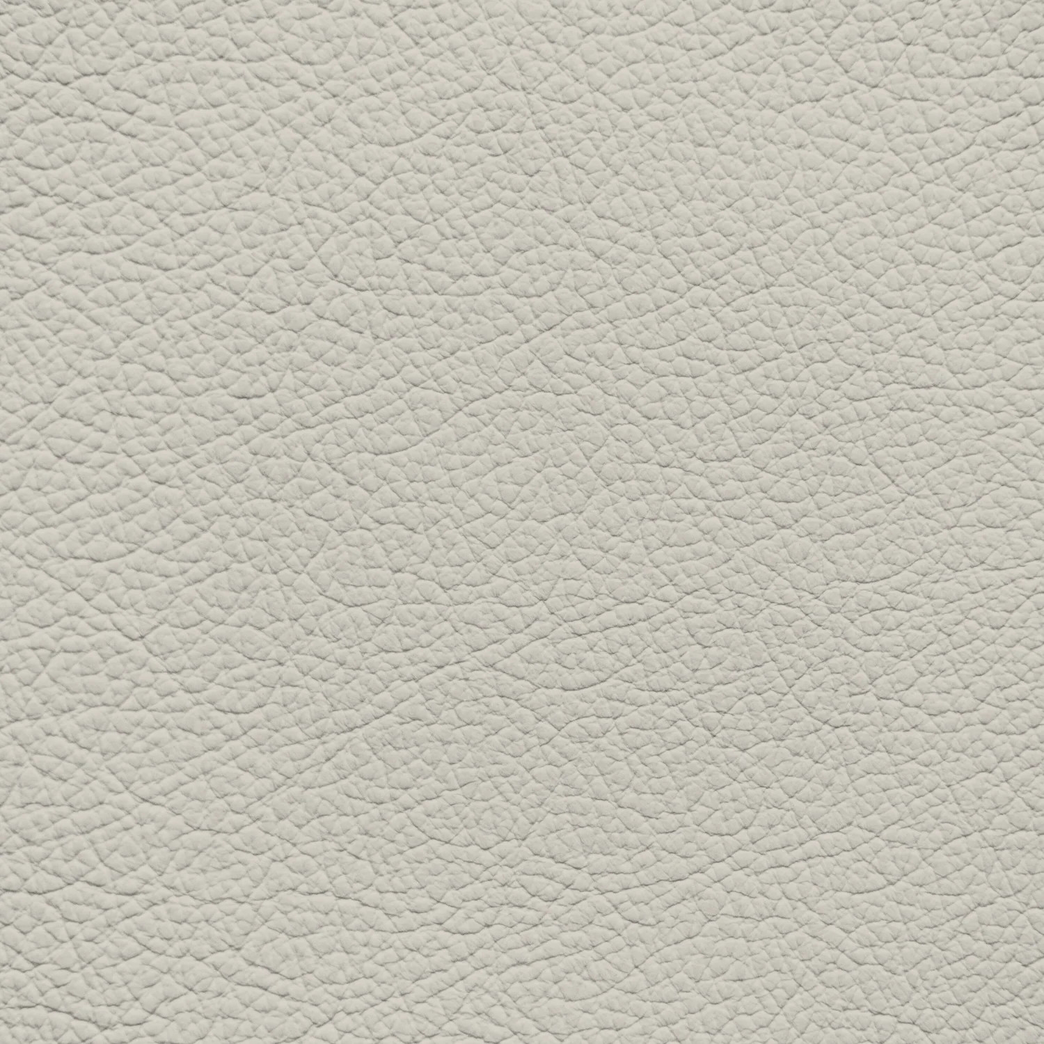 GM Whisper Beige Leather Dye