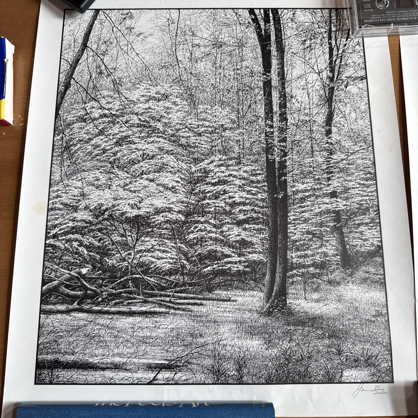 Drawings by Janacek