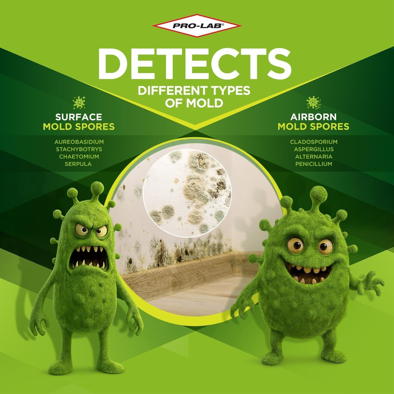 Easy Mold Kit: 3 Tests Incl. Lab Fee & Expert Advice | Pro Results