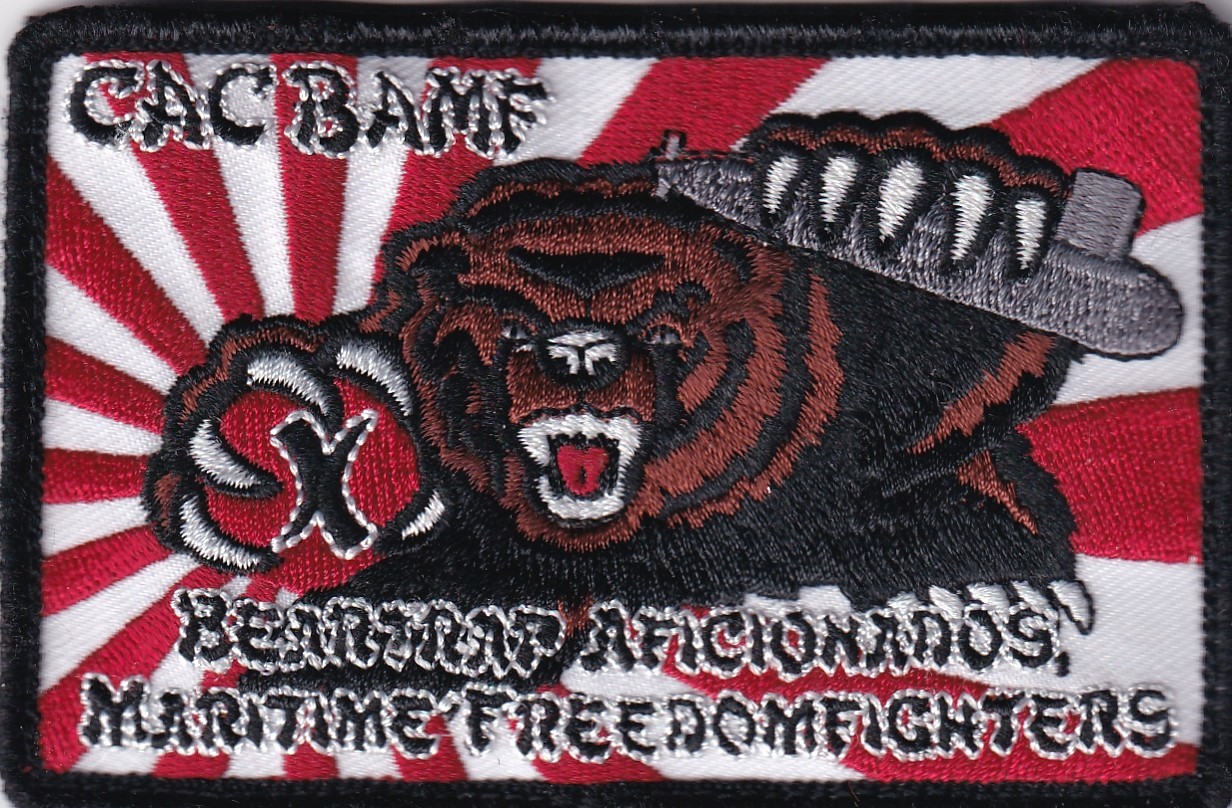 Carrier Air Wing anti-sub CAC BAMF patch US Navy Aviation USN Bad A** Mother F**