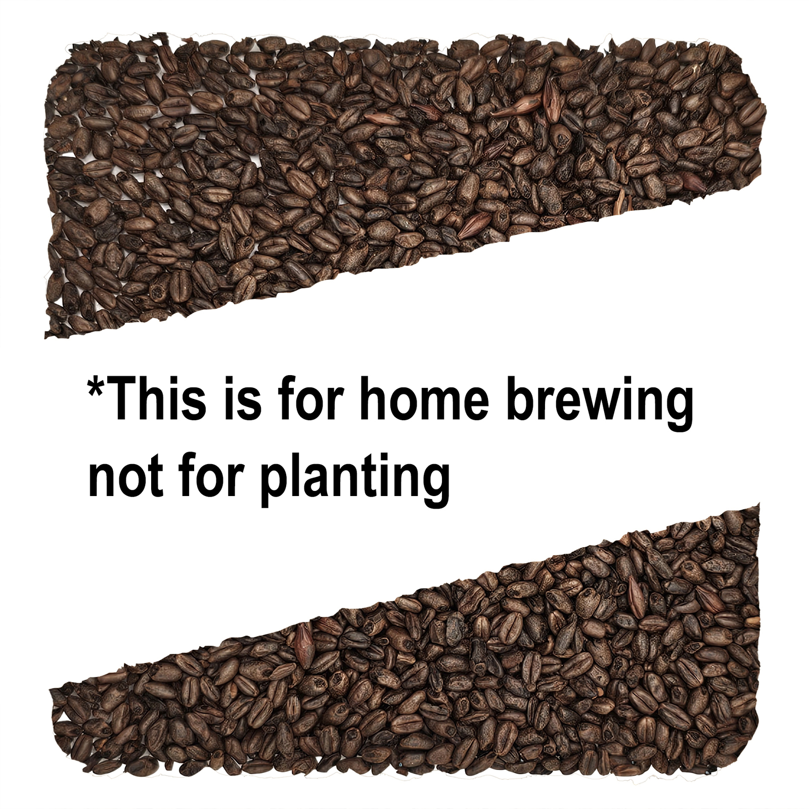 Home Brew Ohio Chocolate Grain 1lb