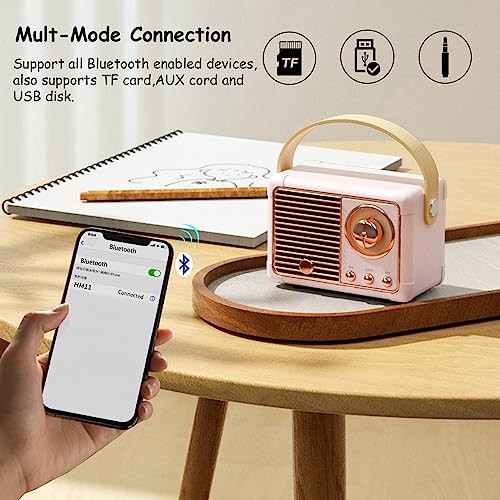 Retro Bluetooth Speaker, Portable Wireless Speaker with Crystal Clear Pink