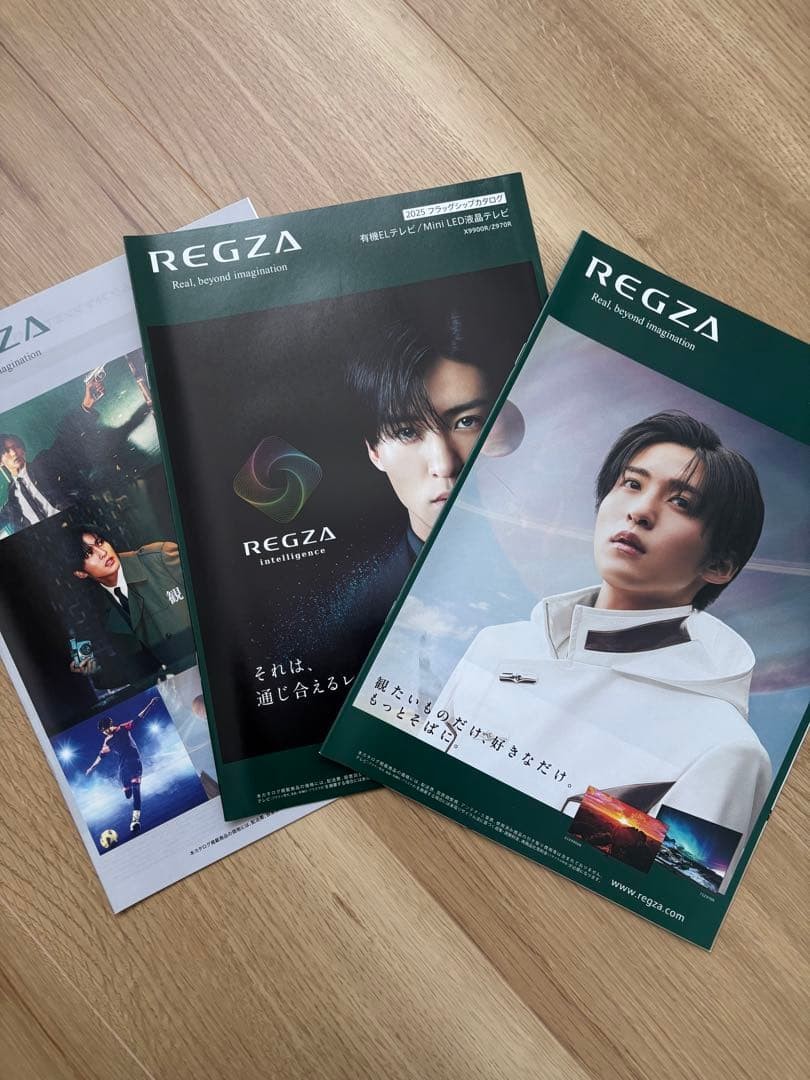 3 3 SnowMan Meguro RREGZCatalog Meme