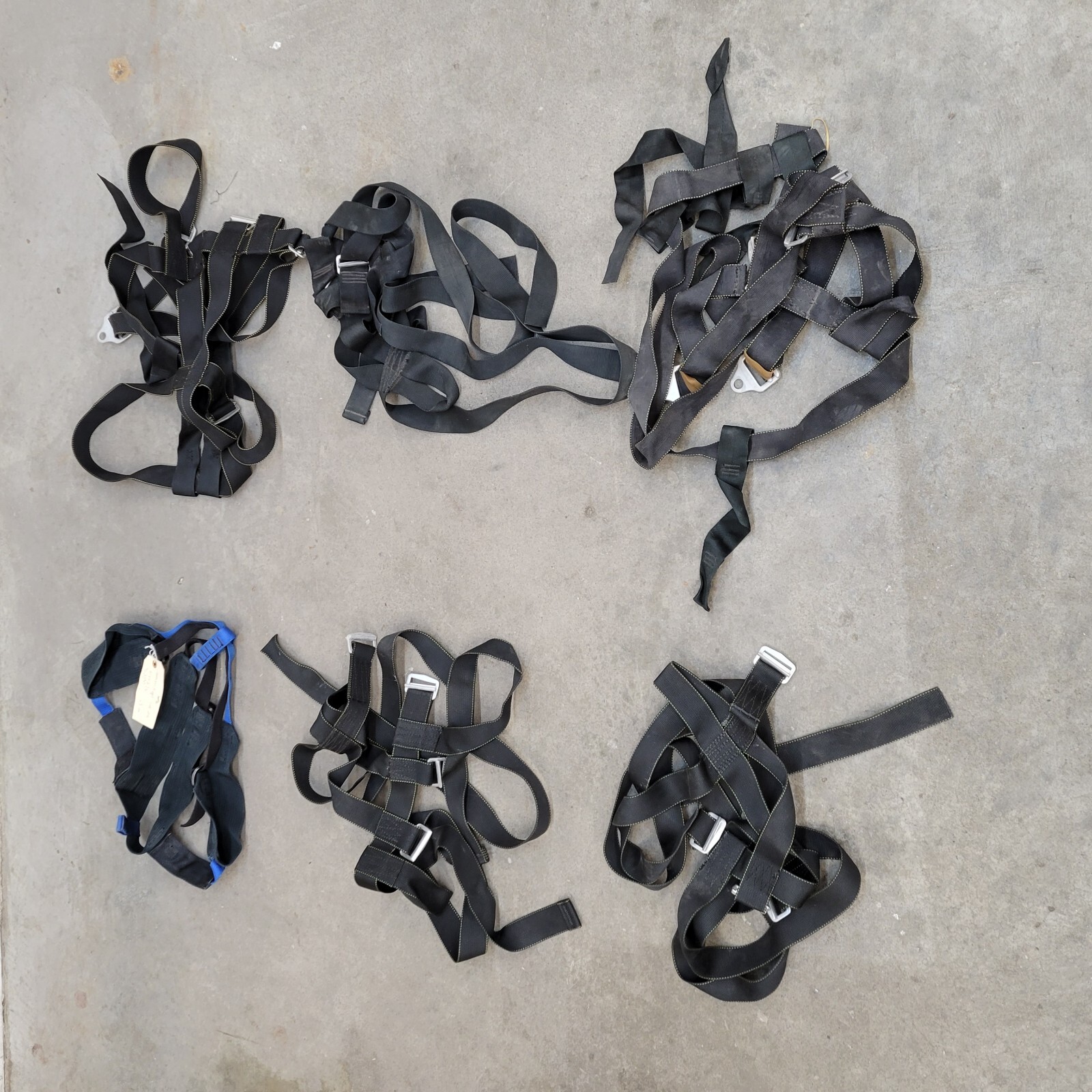 Climbing Harness Lot of 6 #CD781