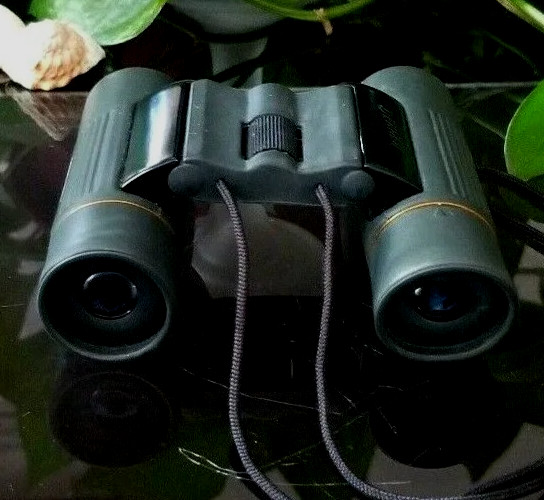 Sharper Image 8 X 21 DCF Field 7* Binoculars with Case & Belt Loop