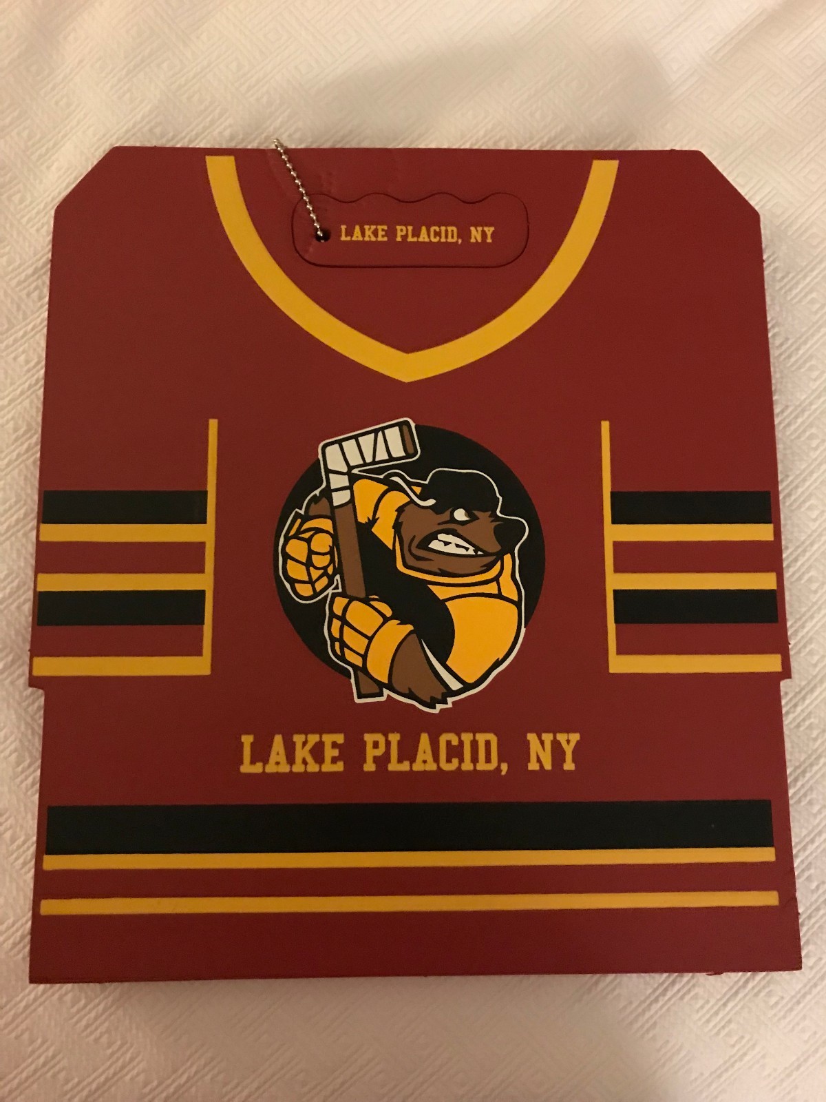 LAKE PLACID ICE HOCKEY SEAT CUSHION NEW YORK OLYMPIC RARE MAROON 12X12"