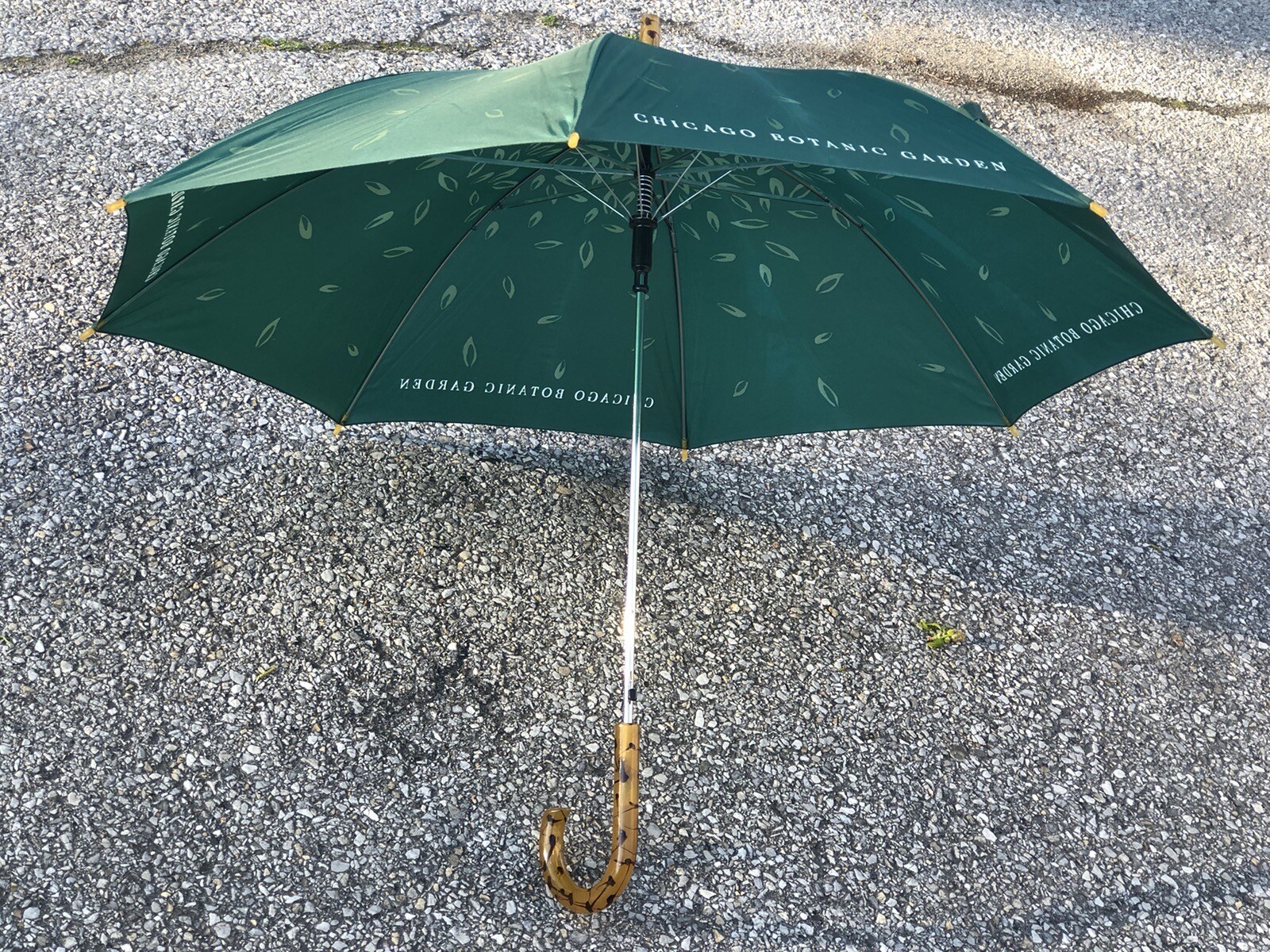 Chicago Botanic Garden Umbrella Vintage Green Leaves Display
