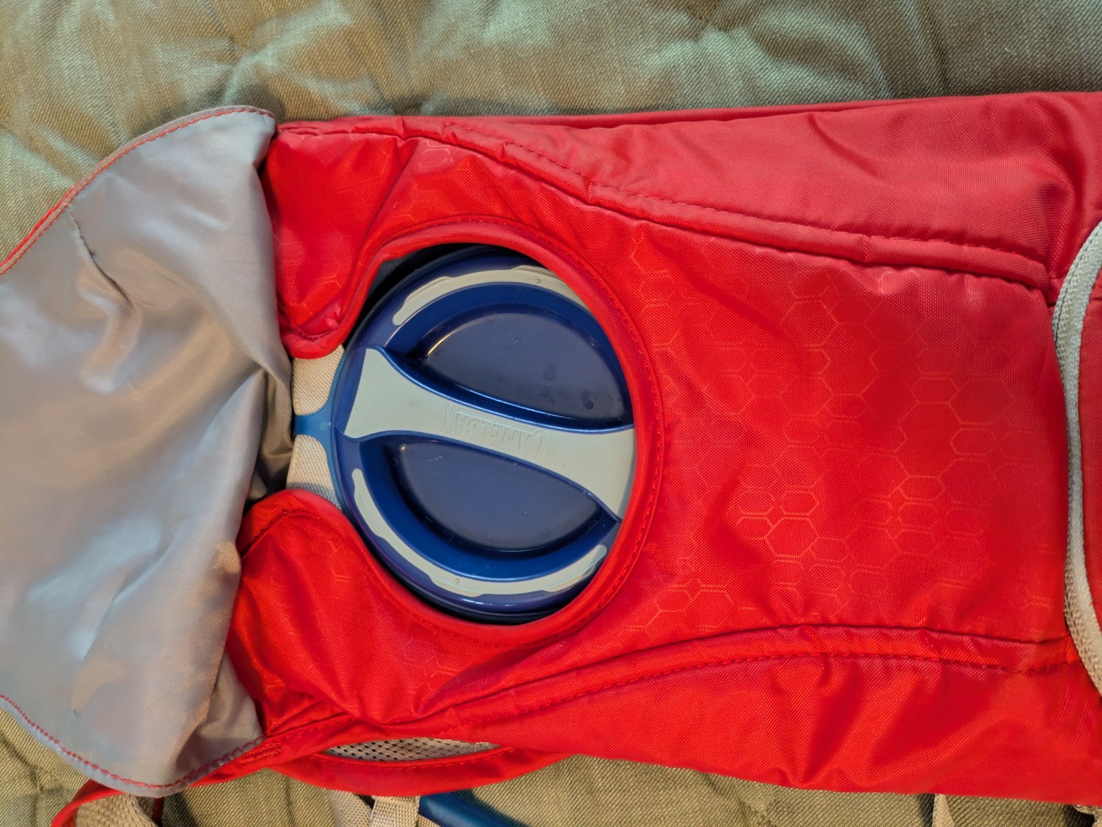 camelbak classic hydration pack red lollapalooza