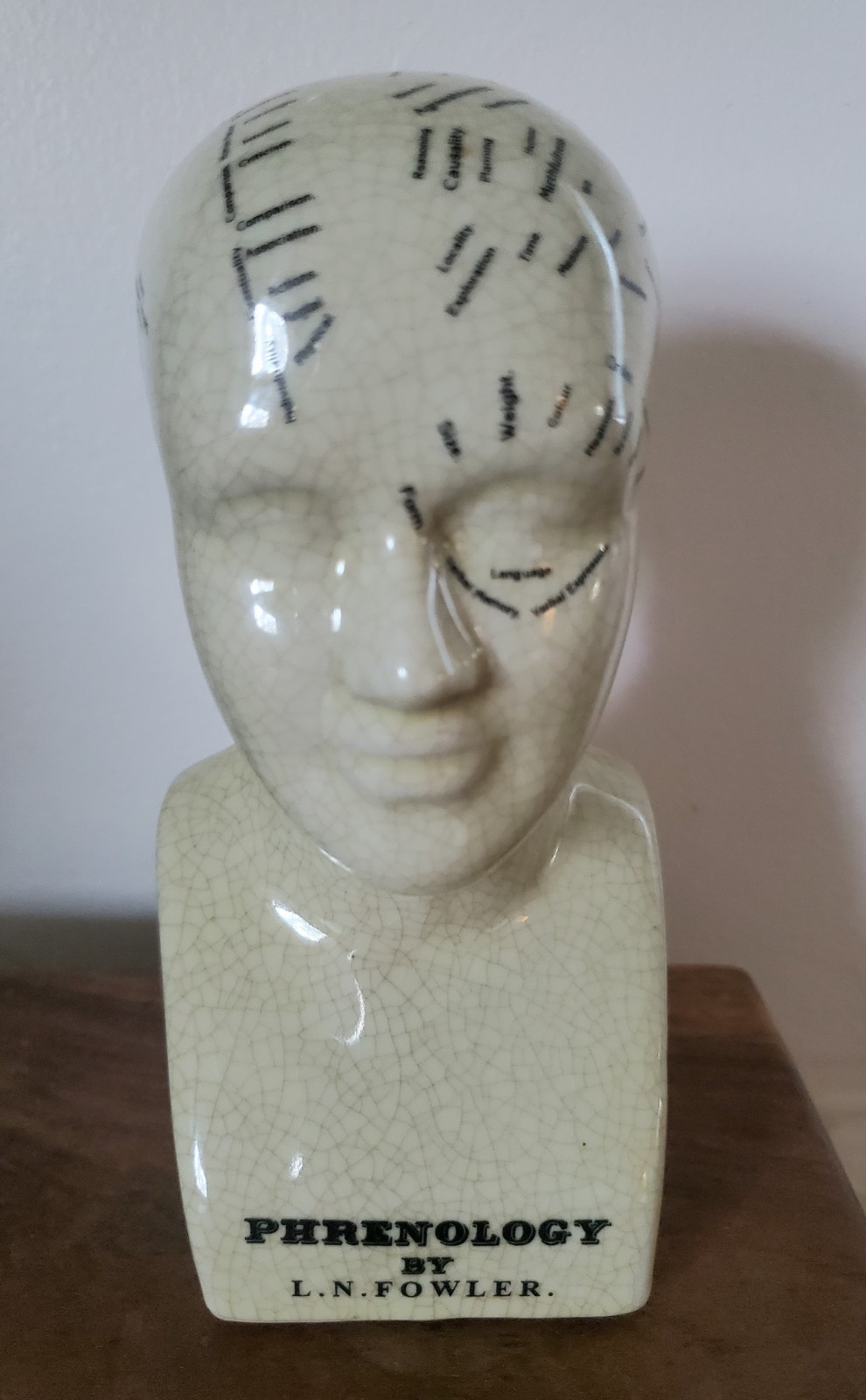 Vintage Crackled Ceramic Phrenology Head Bust L. N. Fowler 6" Victorian Medical