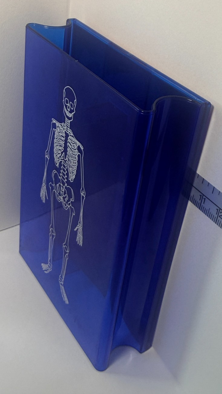 Learning Resources Skeleton Stamp Science Anatomy Classroom Homeschool