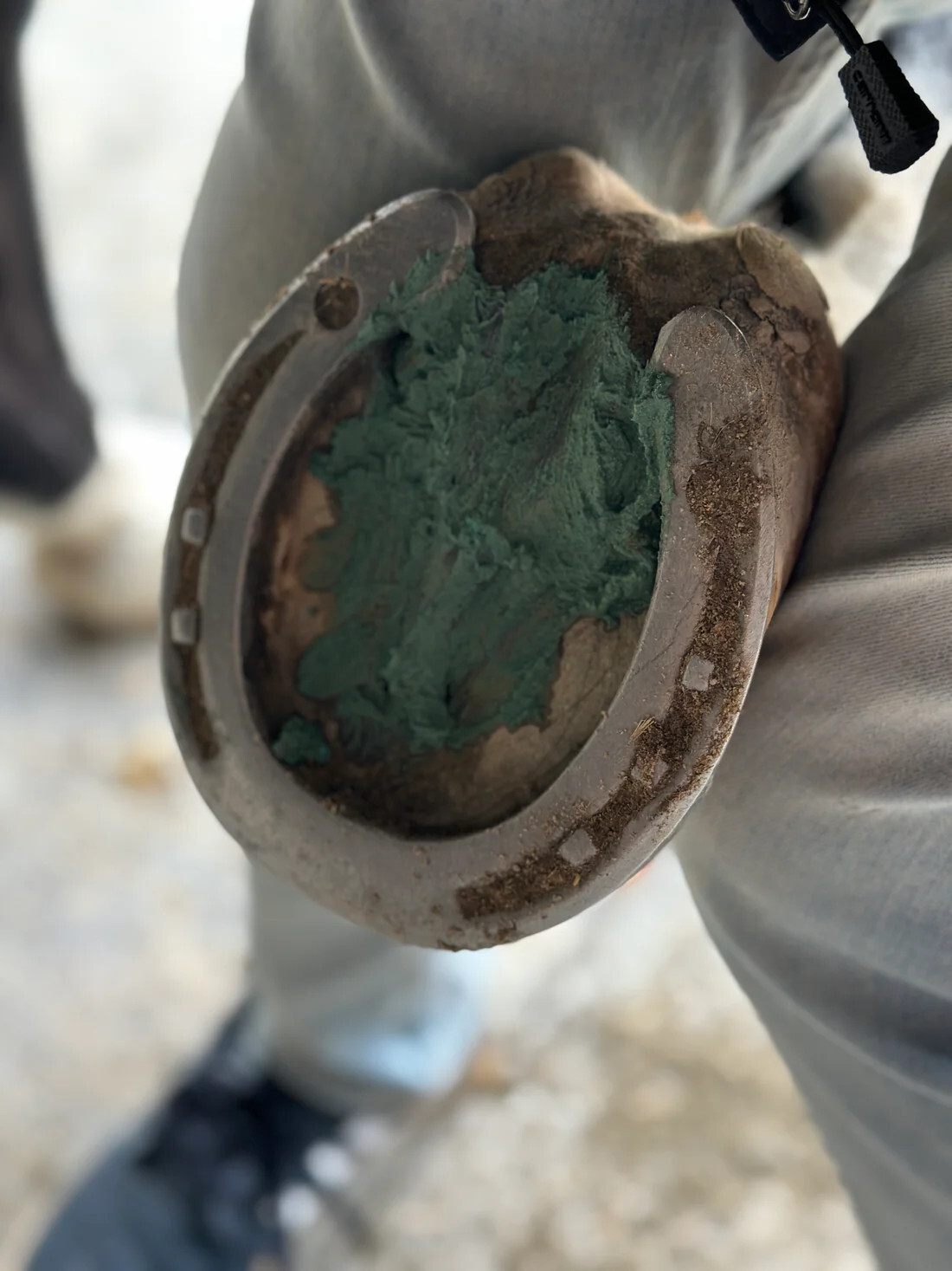The Blue Clay